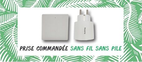 DEWENWILS Interrupteur Sans Fil Extérieur Avec Télécommande, 3000W